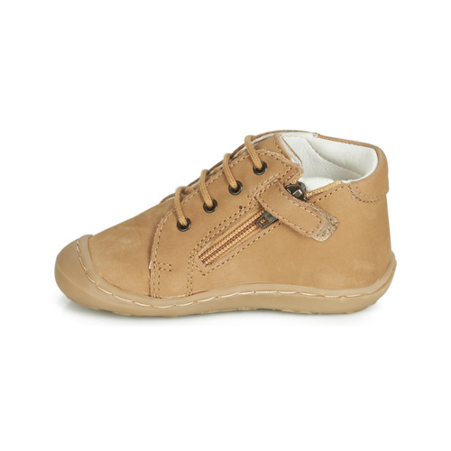GBB - FREDDO - Cognac