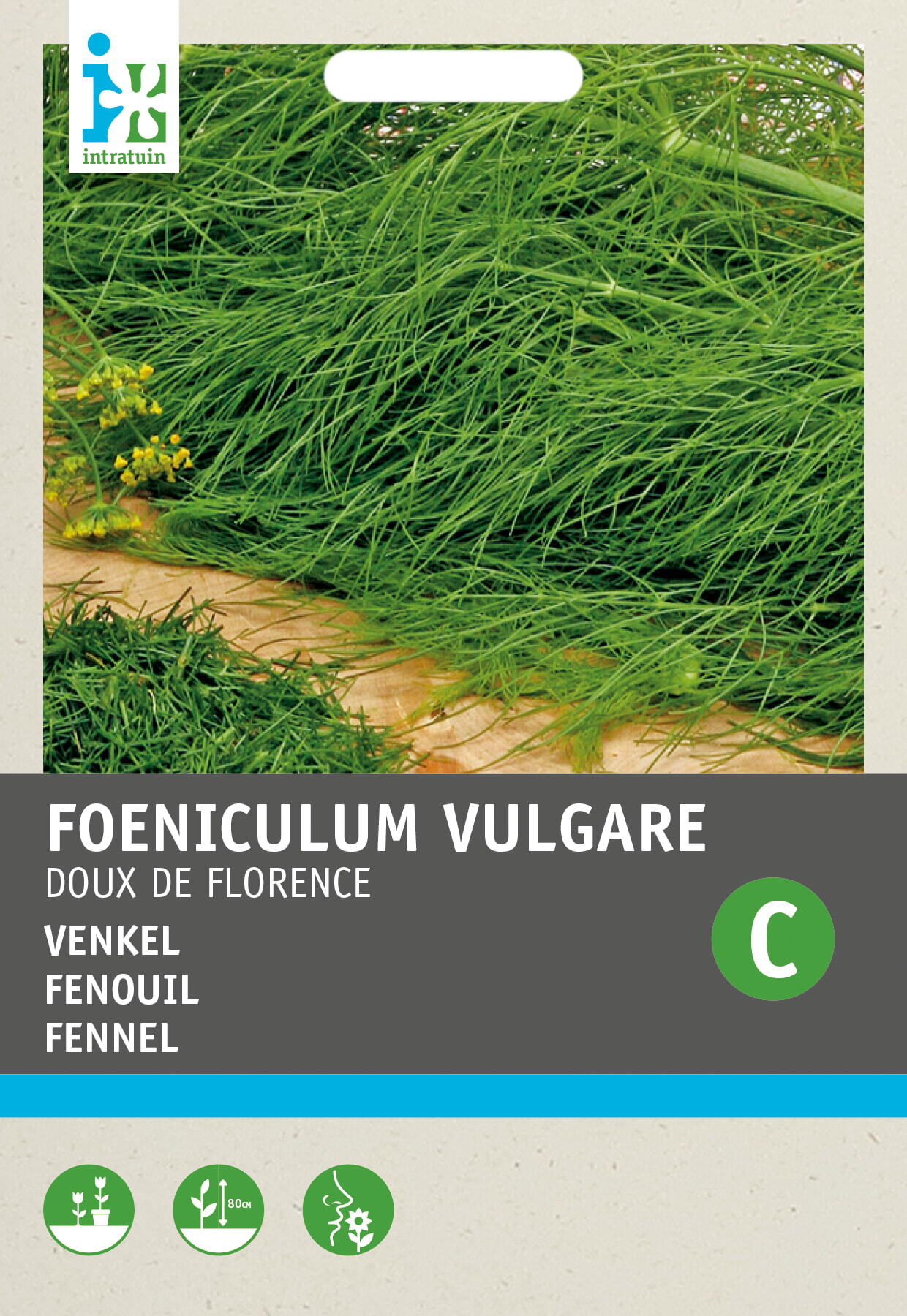 Intratuin groentezaad Venkel (Foeniculum vulgare)