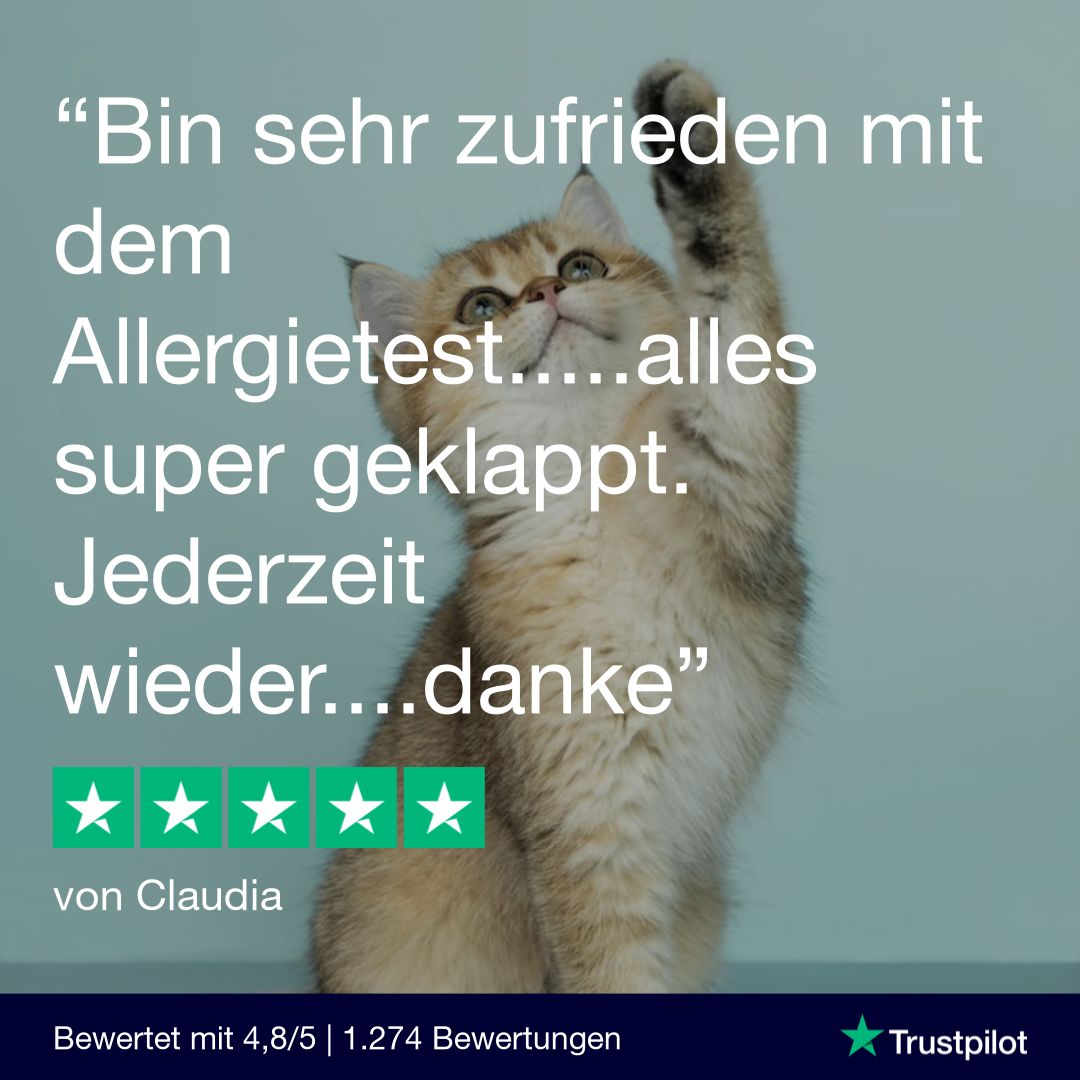 Allergietest Pro Katze