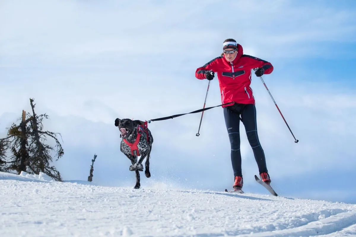Non-stop Dogwear Combined Harness Red