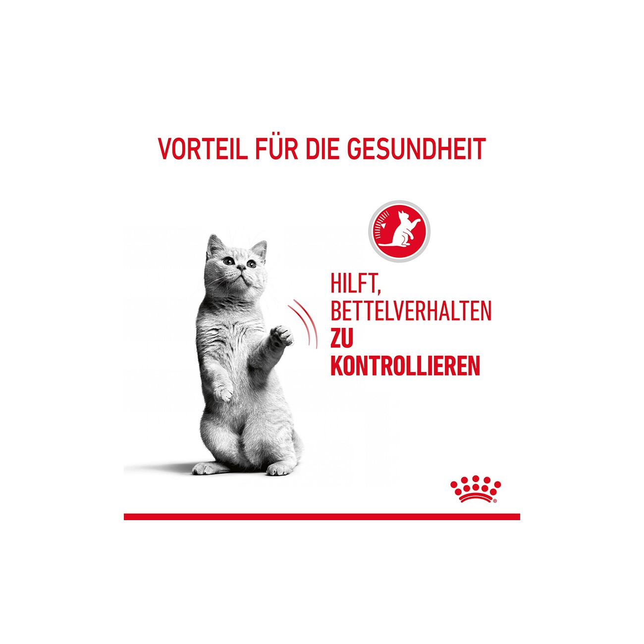 ROYAL CANIN Appetite Control Care 12 x 85 g