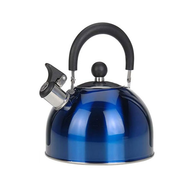 Bouilloire inox à sifflet 2,5