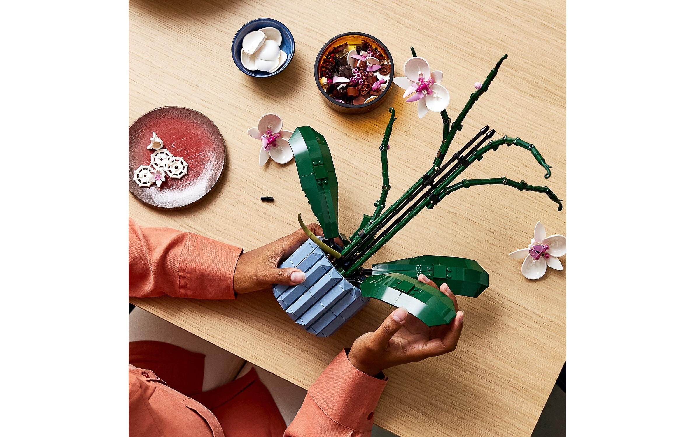 Icons Botanicals Collection: Orchidee 10311Individuell gestaltbares Modell