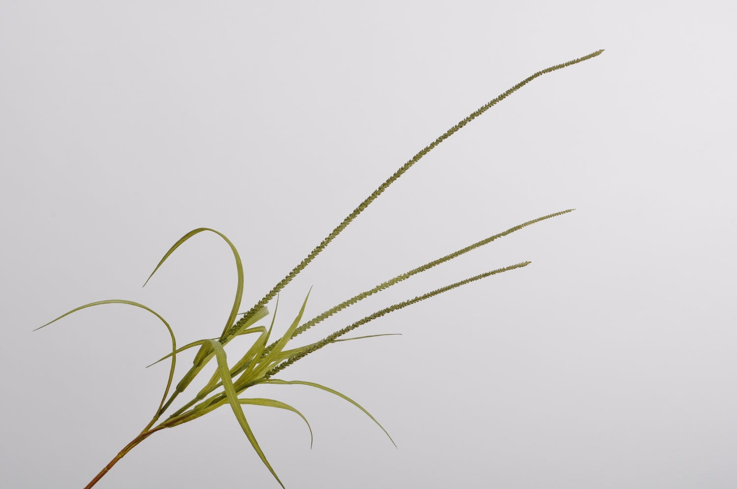Silk-Ka kunsttak Gras 135 cm groen