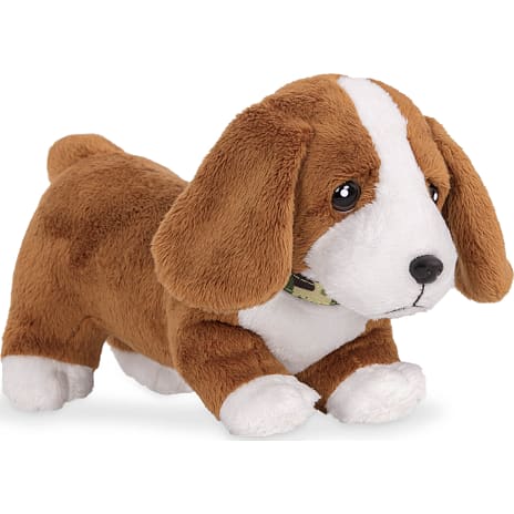 Our generation Basset Hound hvalp