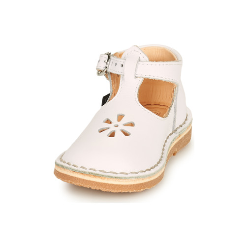 Aster - BIMBO - Blanc