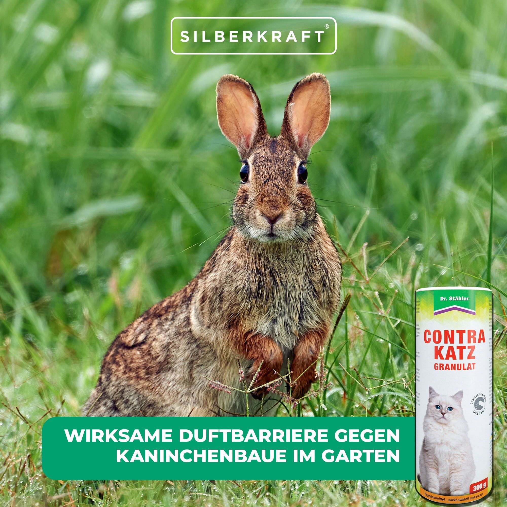 SILBERKRAFT Contra Katz Granulat