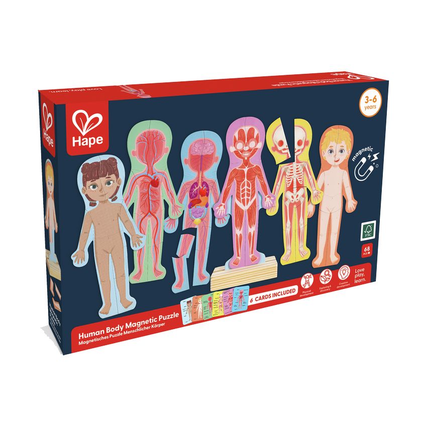 Hape Magnetisches Puzzle - Menschlicher Körper