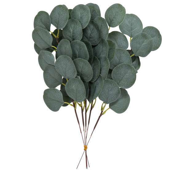 5 branches de feuilles d'eucalyptus vertes - 35cm