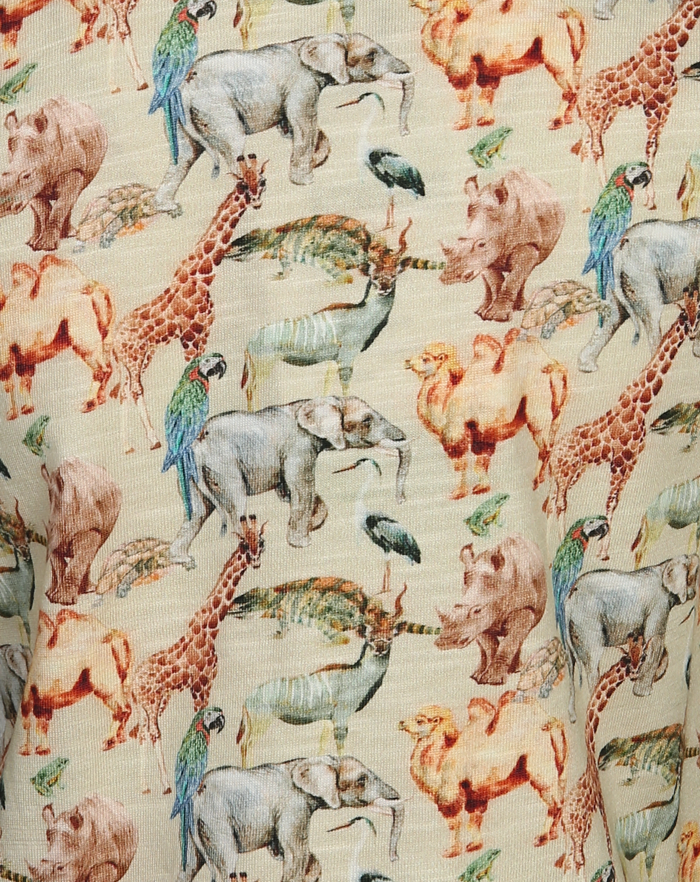 T-Shirt ARTHUR ZOO in biscotti