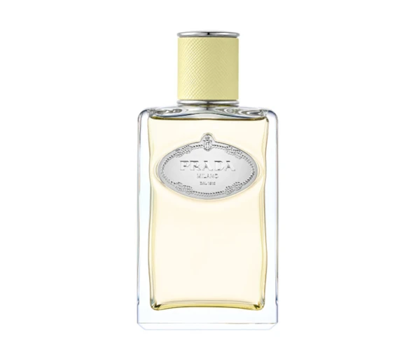 Prada Infusions Gingembre Eau de Parfum