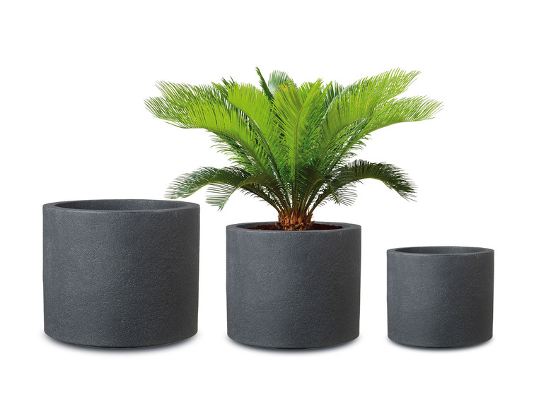 Plantenbak