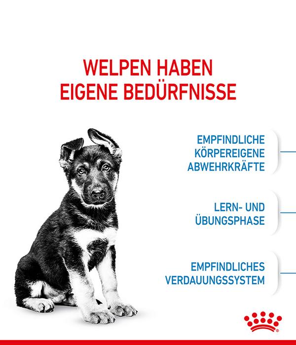ROYAL CANIN® Trockenfutter für Hunde Maxi