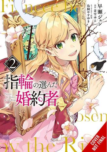 The Fiancee Chosen by the Ring, Vol. 2 (Paperback)