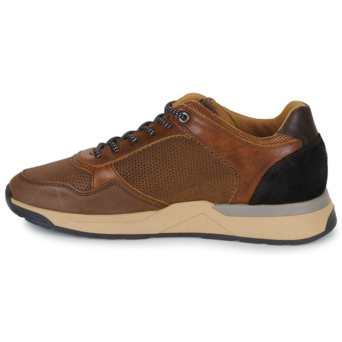 Bullboxer -  - Marron