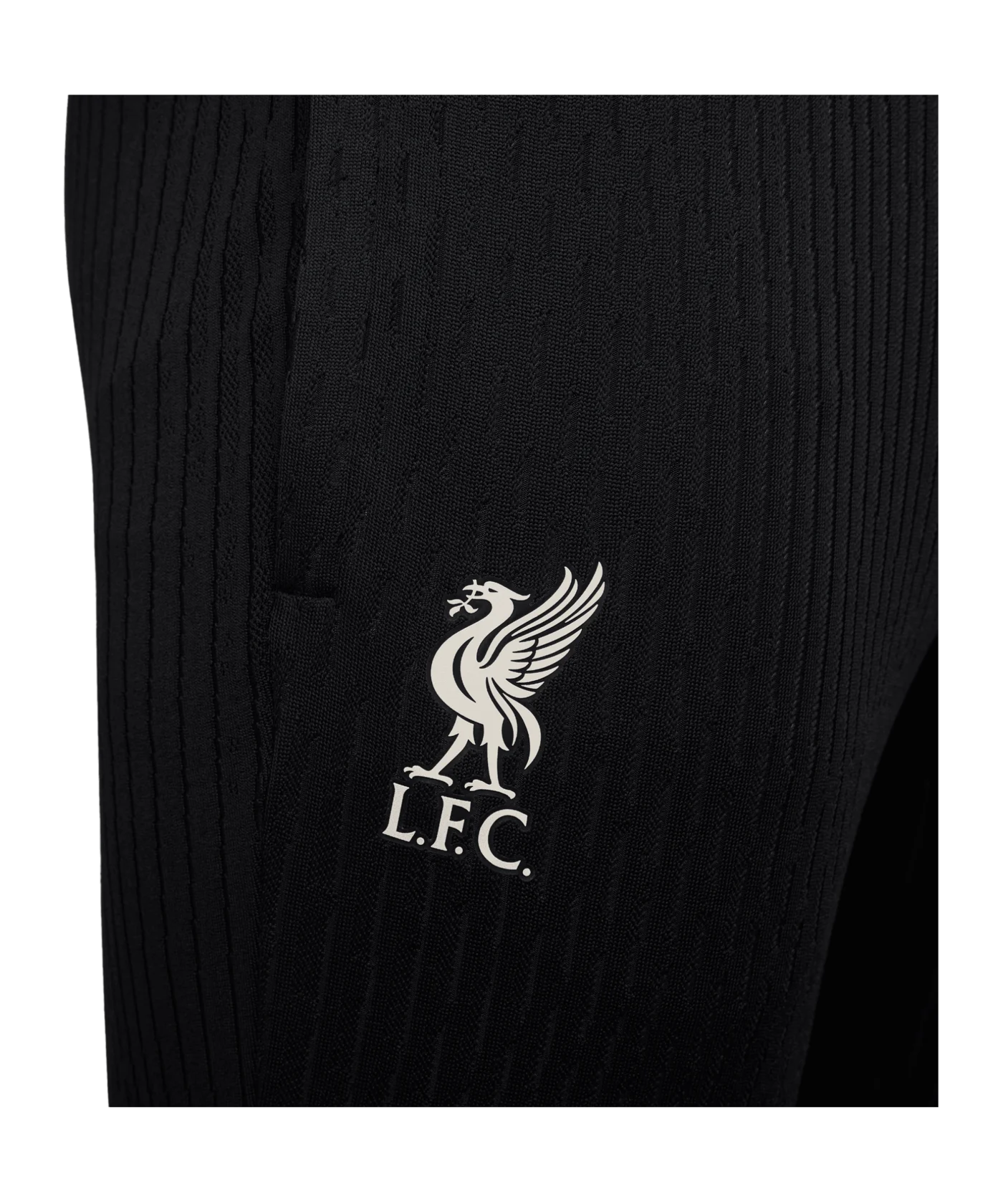 Nike FC Liverpool Auth. Trainingshose Schwarz F010