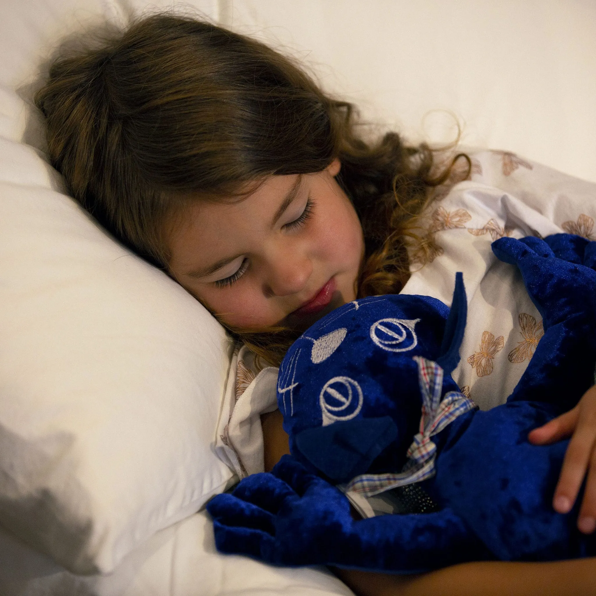 Manimo Manimo Chat Lourd 2kg - Bleu