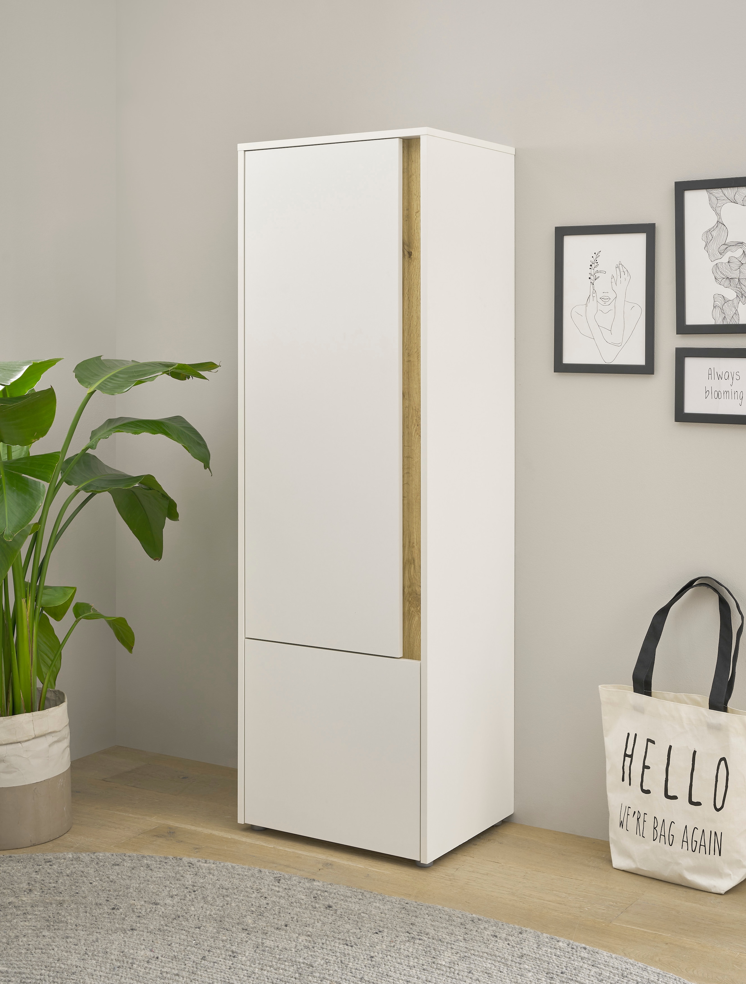 INOSIGN Aktenschrank »CiTY/GiRON« Stauraumschrank zeitlos modern, wohnliches Home Office, Breite 50 cm