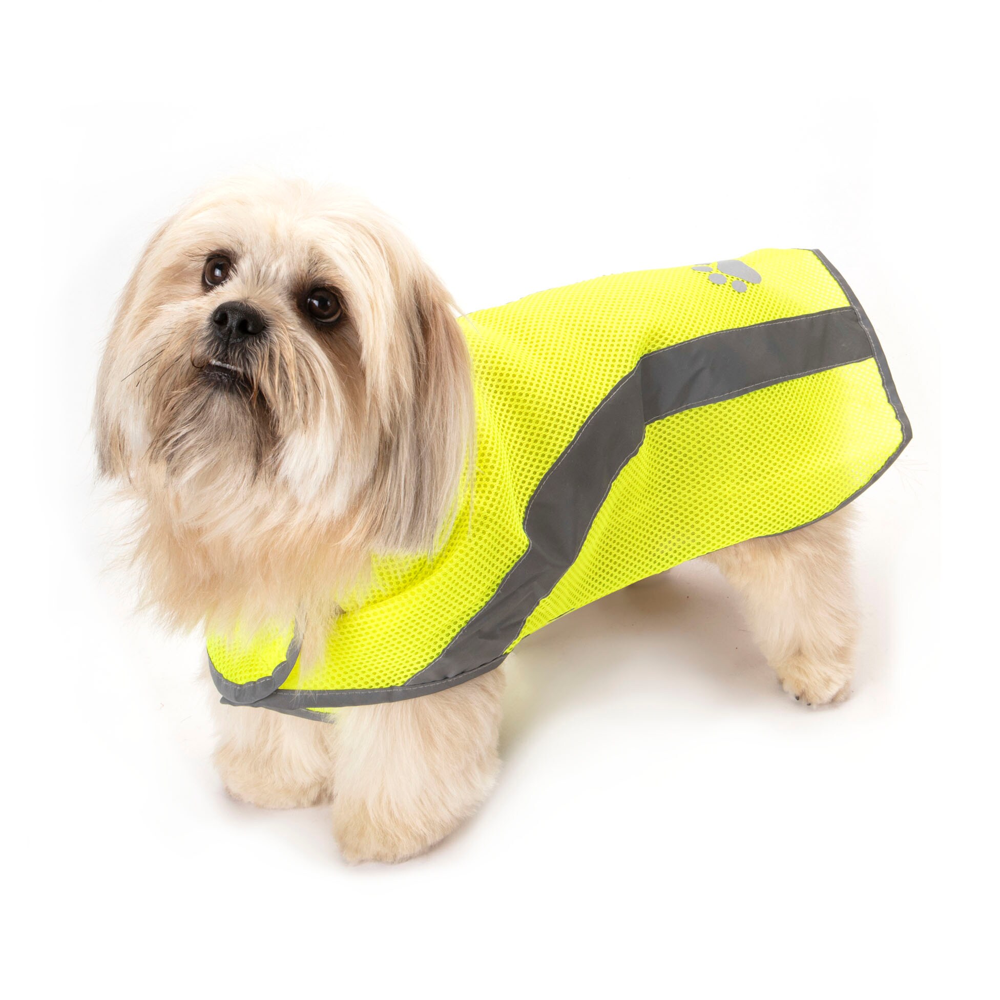 Hundejacke Regenjacke Warnweste