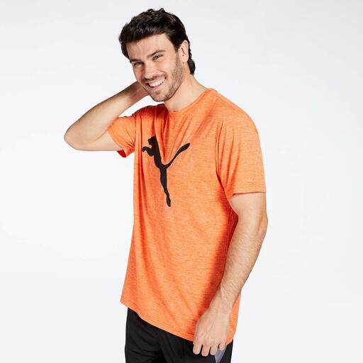 Trem Puma