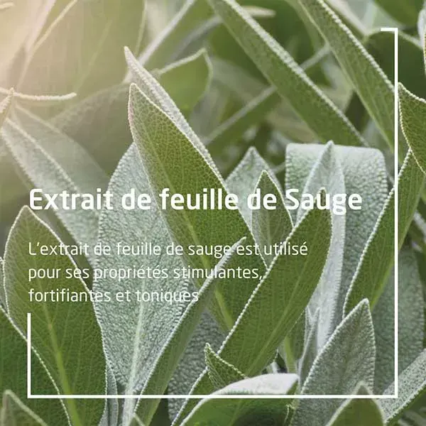 Desodorante orgânico Weleda Sage, pacote com 2 unidades de 100ml