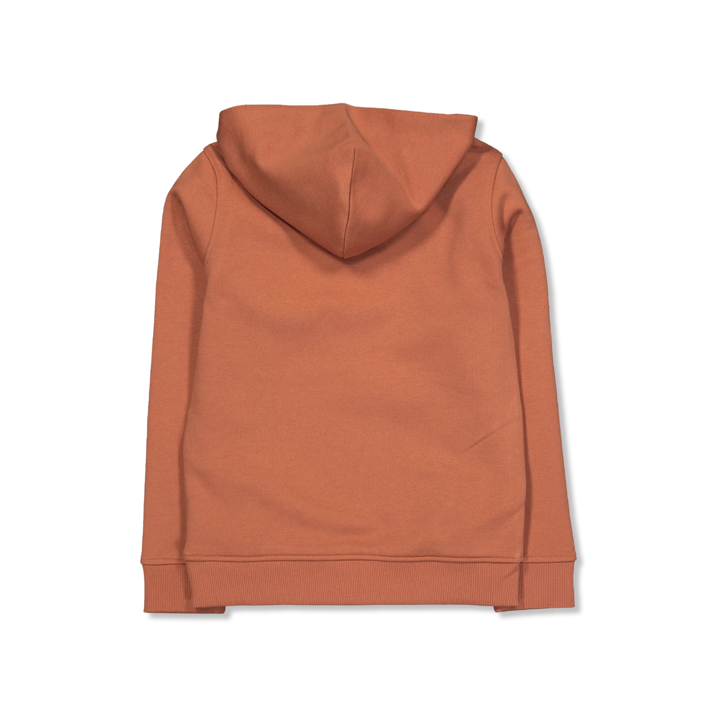 PRINT HOODIE sweatshirts