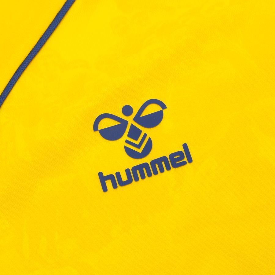 Brøndby IF Maillot Domicile 2024/25