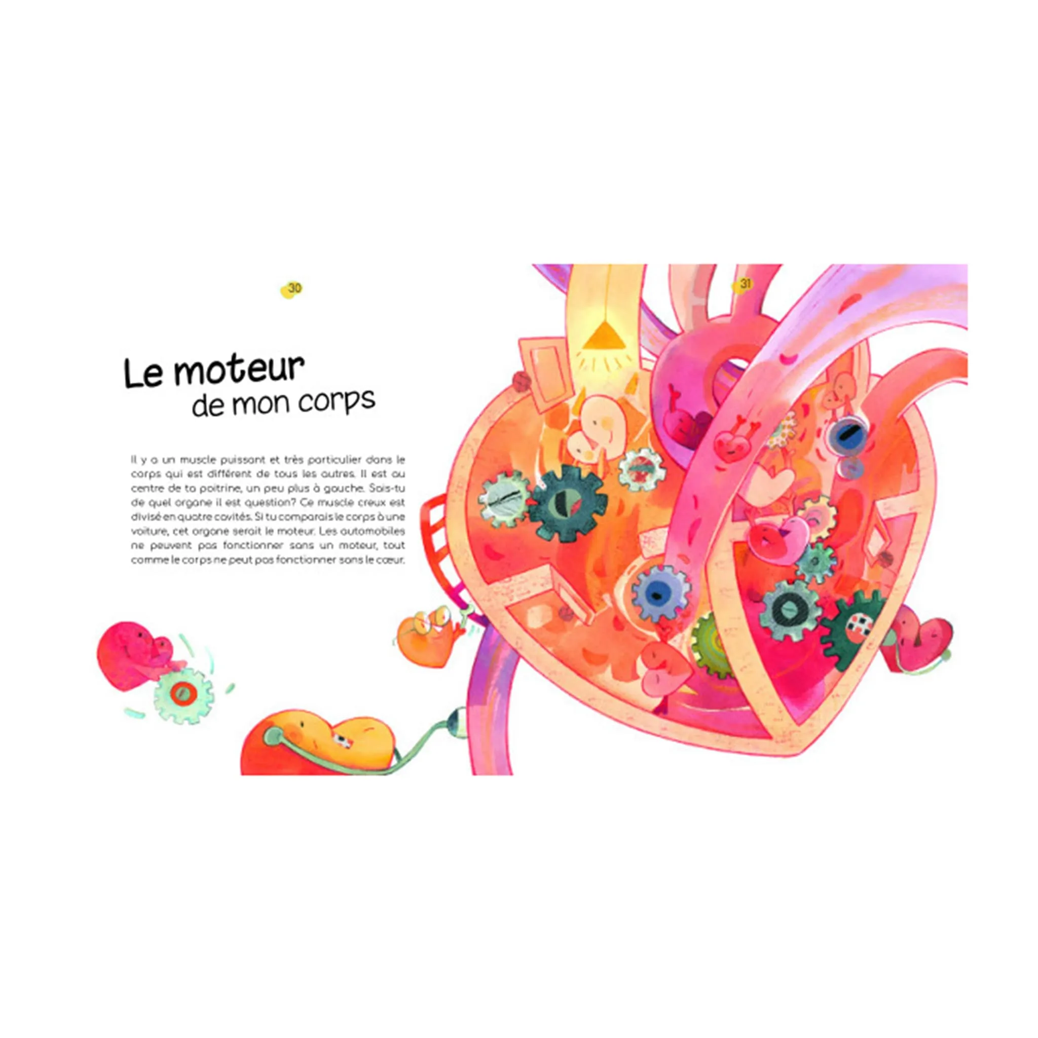 Pomango Les Miracles du Corps Humain 44 explications