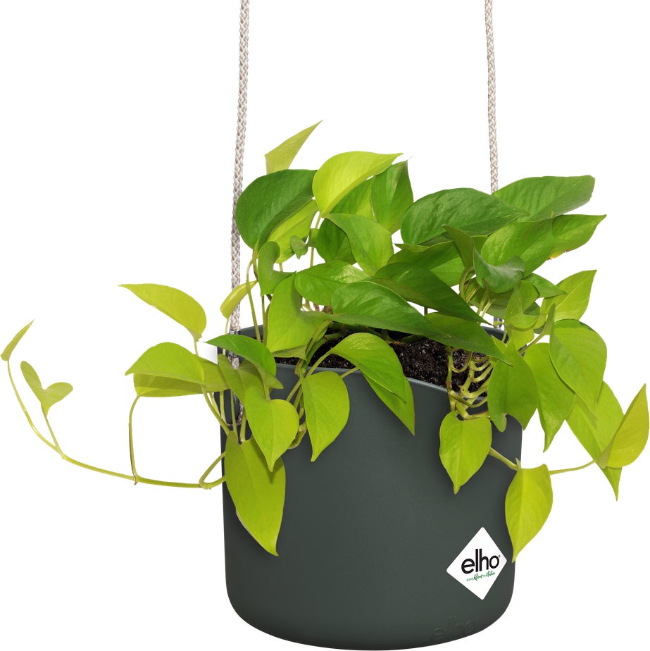 Elho hangpot B.for Swing groen 20,5 x 20 x 16,5 cm