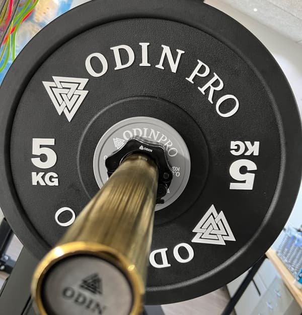 Odin PRO CPU OL Vektskiver 0,5kg
