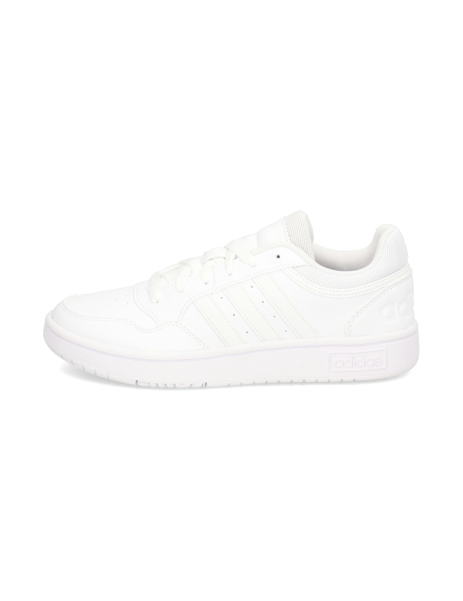 HOOPS 3.0