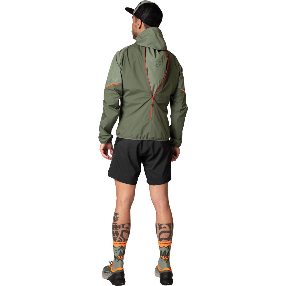 Dynafit Alpine GORE-TEX® Hardshelljacke Herren sage