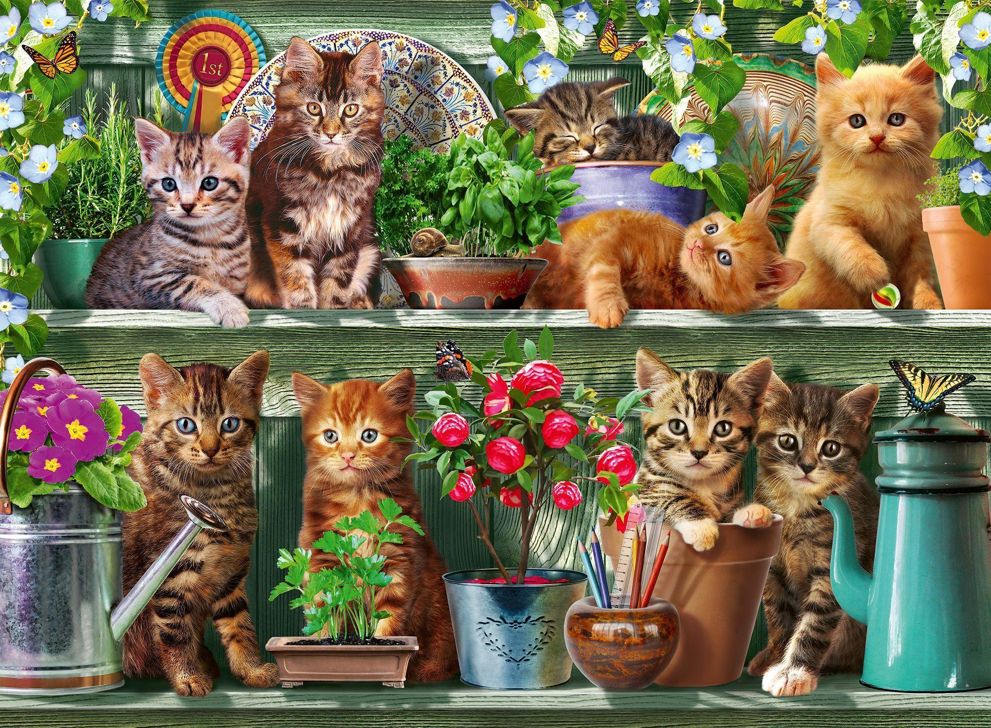 Puzzle KATZEN IM REGAL 500-teilig