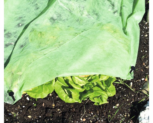 Supergrow Windhager tuinvlies 150 x 2 m 20 g/m² groen, verkocht per meter