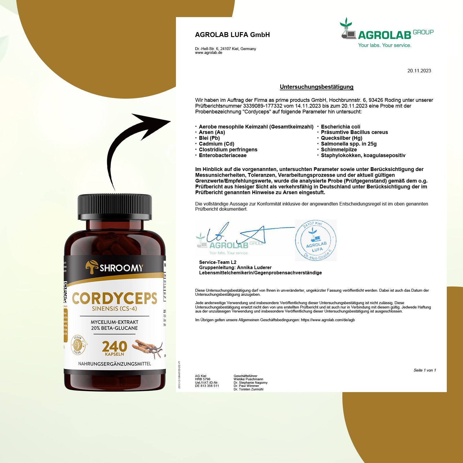 SHROOMY Cordyceps sinensis Extrakt Kapseln