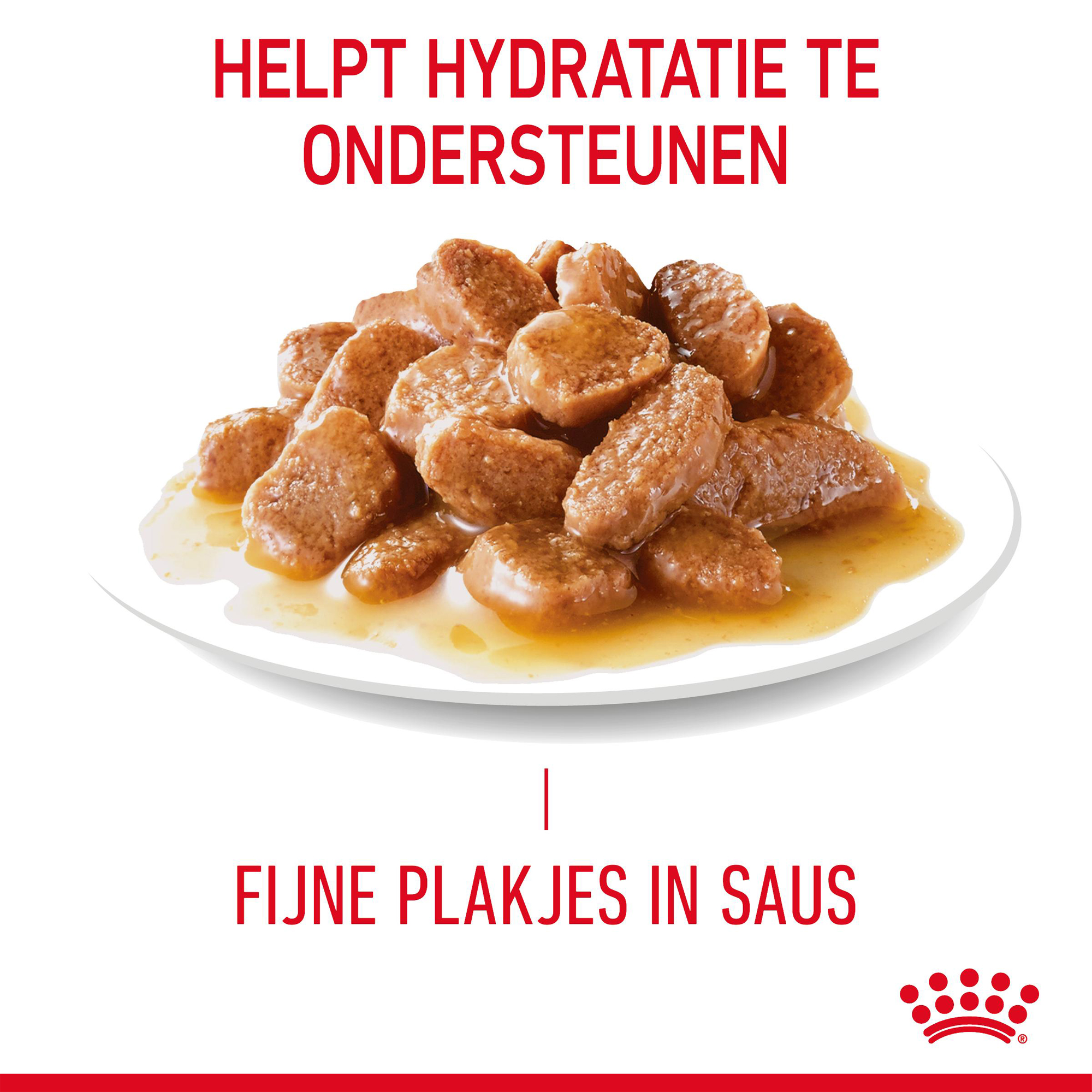 Royal Canin Hair & Skin in Gravy - Kattenvoer