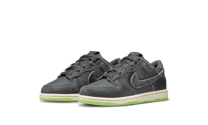 Nike Dunk Low Swoosh Shadow Iron Grey Enfant (PS)