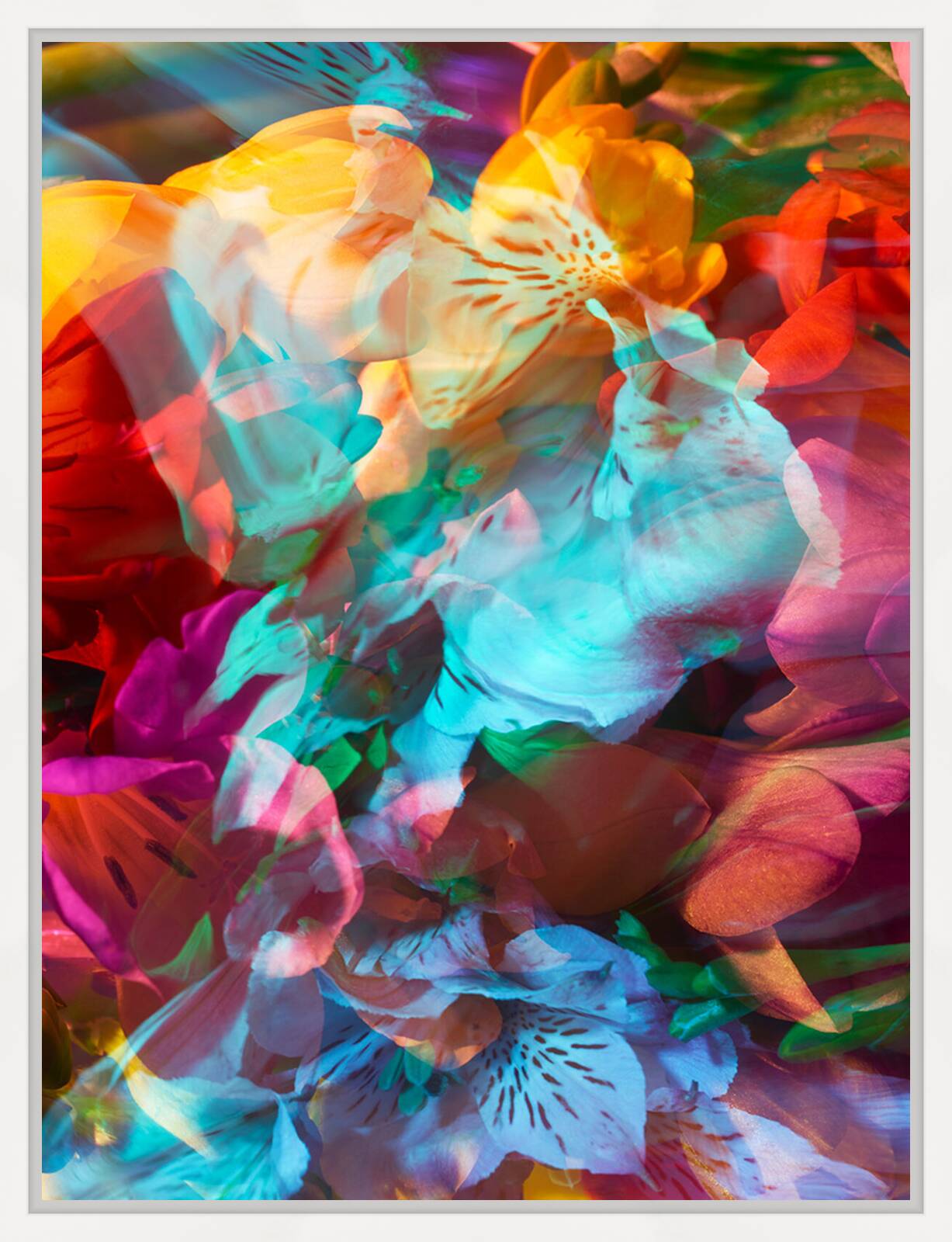 PARALLELS 34 by Andrea Zvadova - Limited Edition. Edition of: 150. Signed.