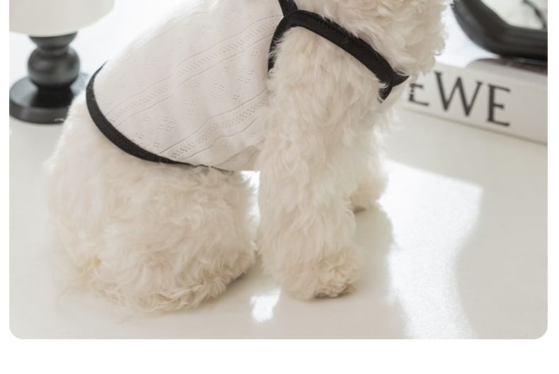 Cissilli - Pet Top met strik