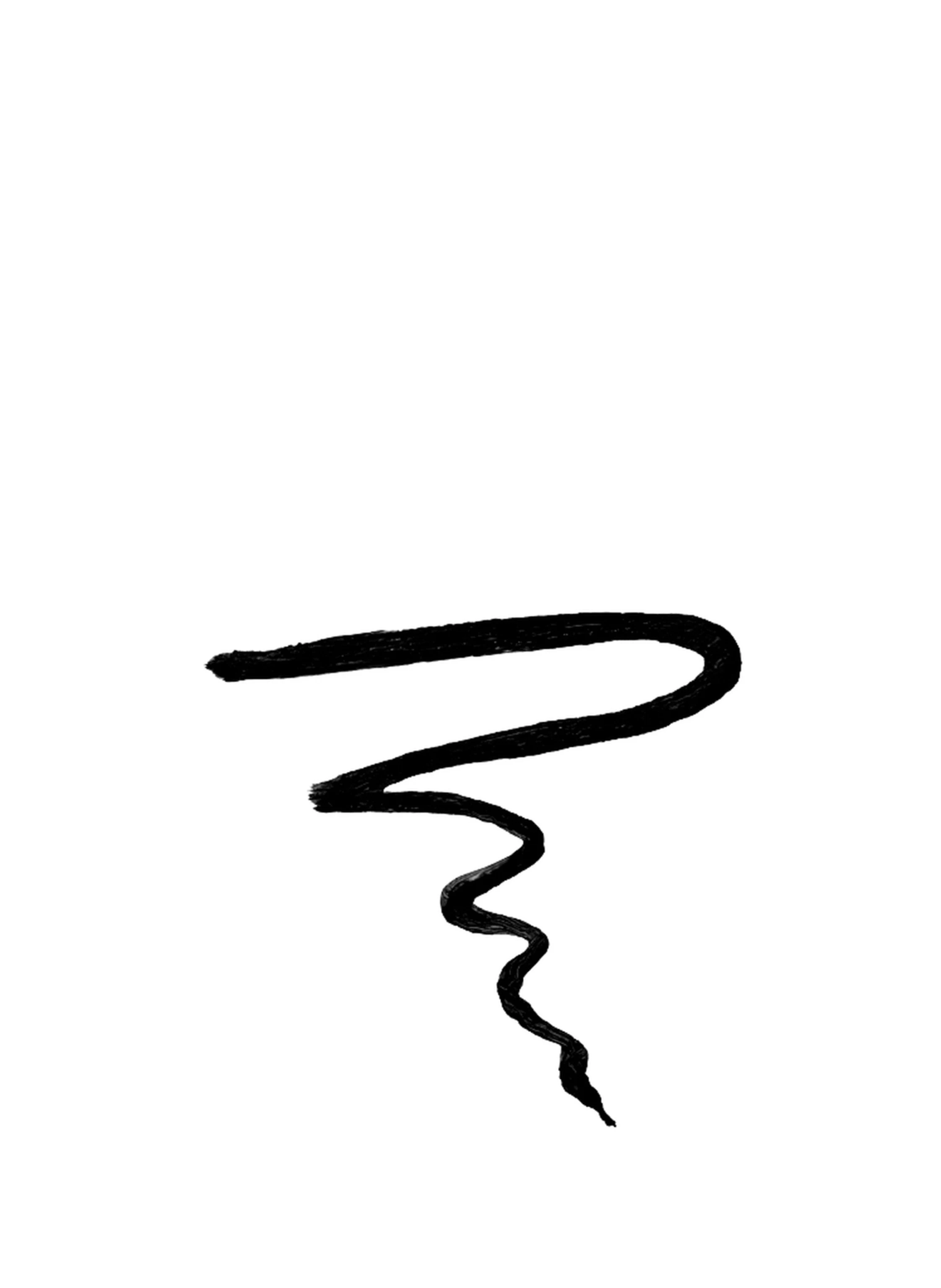 SHISEIDO MICROLINER INK