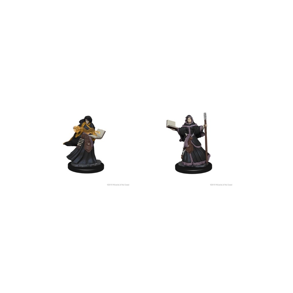 D&D Nolzur's Marvelous Unpainted Miniatures: Human Female Wizard