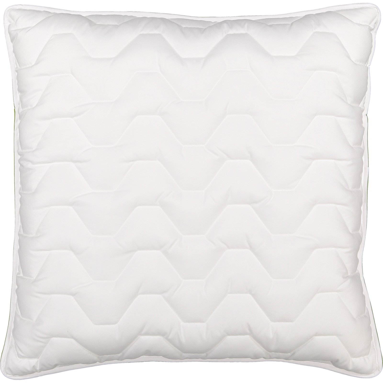 Kissen 65x65 Cyclafill Eco