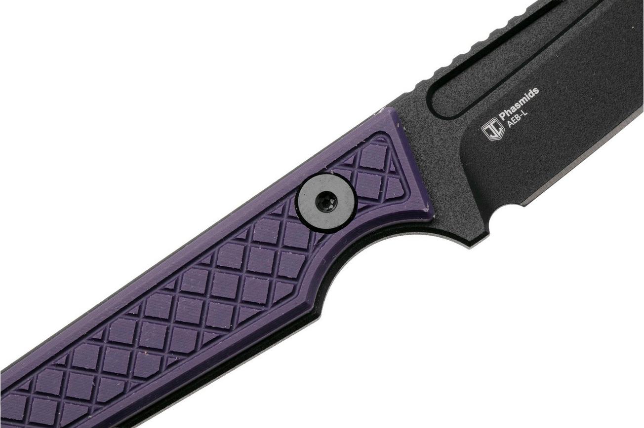 Kizer Vanguard Phasmids 1079A1 Black AEB-L, Purple G10, vaststaand mes, Johan Jordaan design