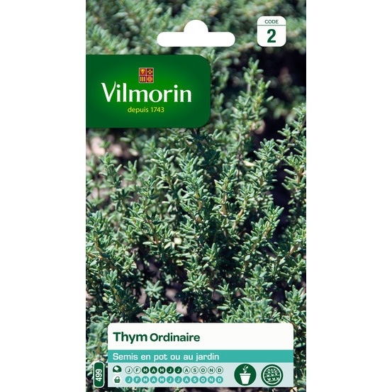 Graines de thym ordinaire en sachet