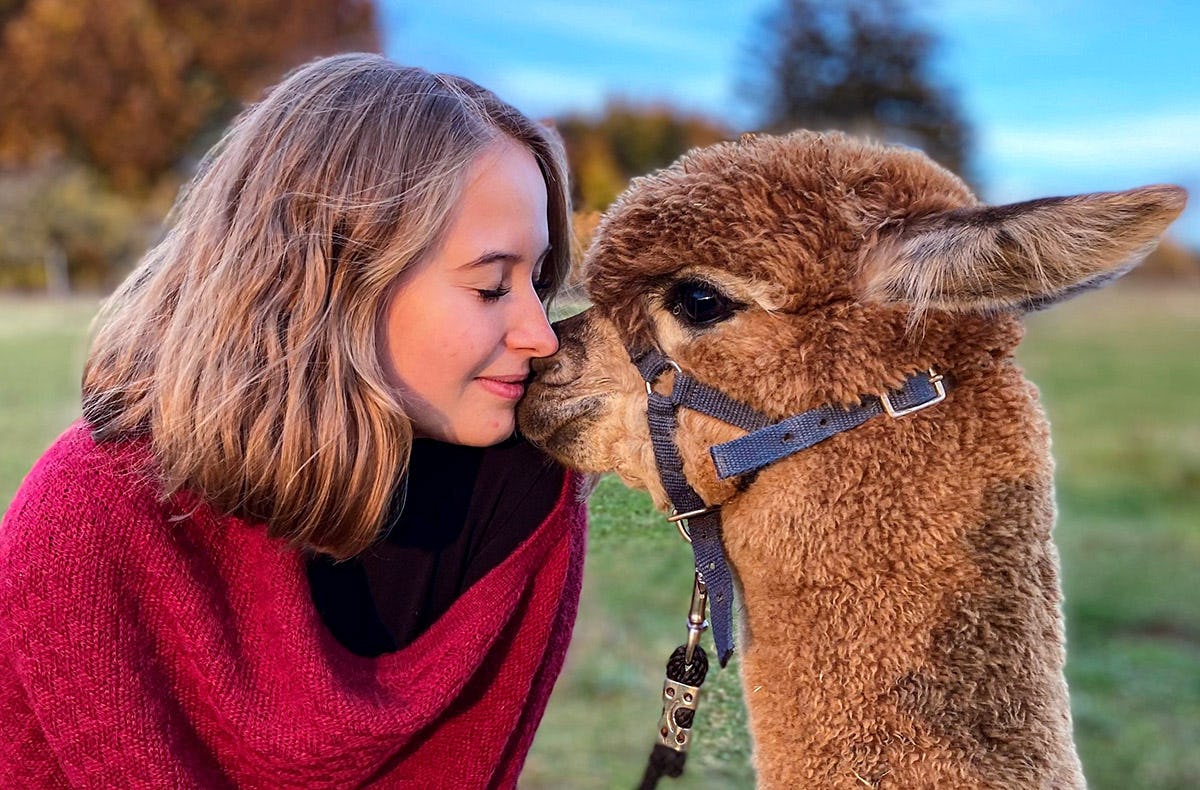Übernachtung auf der Alpakafarm Affinghausen