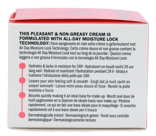 Olay Double Action Dagcrème Moisturise & Prime 50ML