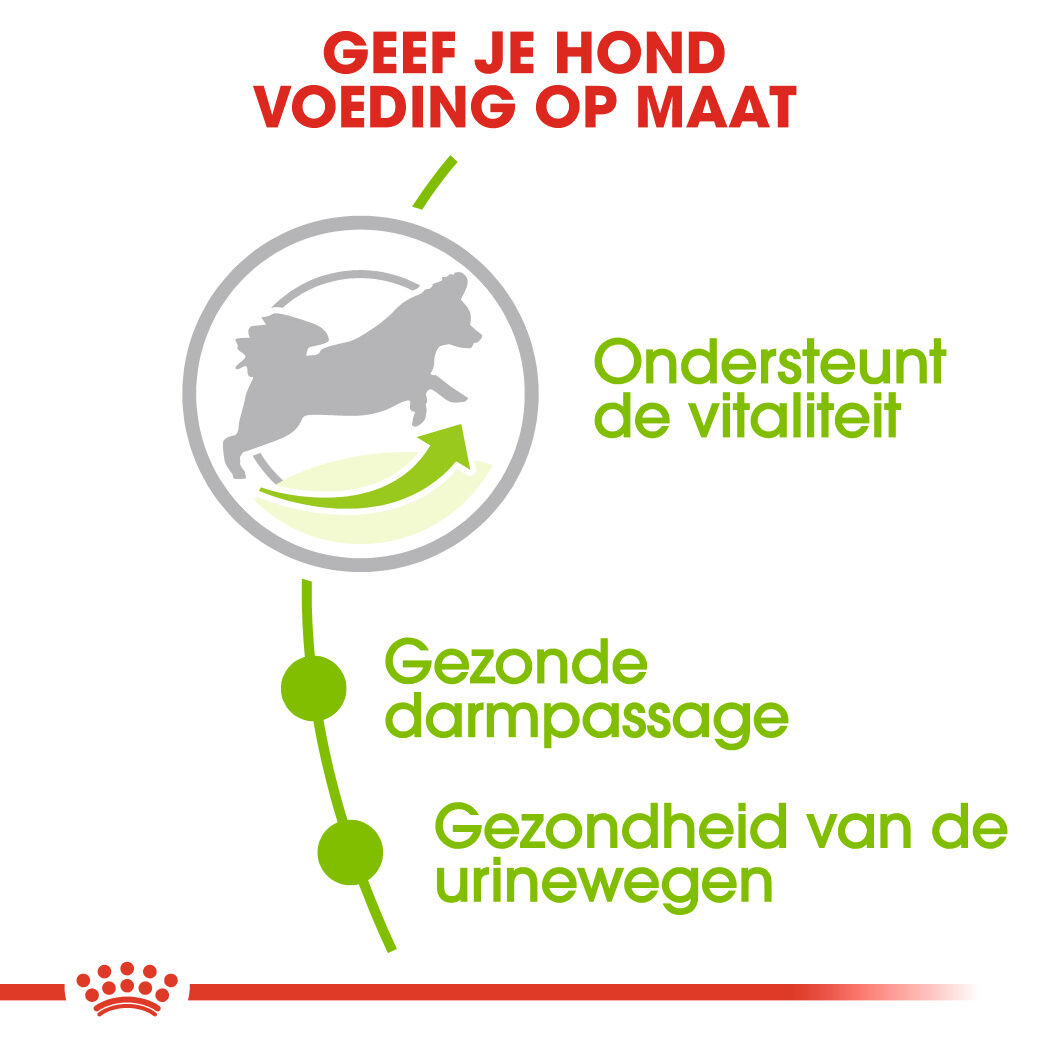 Royal Canin X-Small Adult 8  - Hondenvoer - 0.5 Kilogram - gevogelte