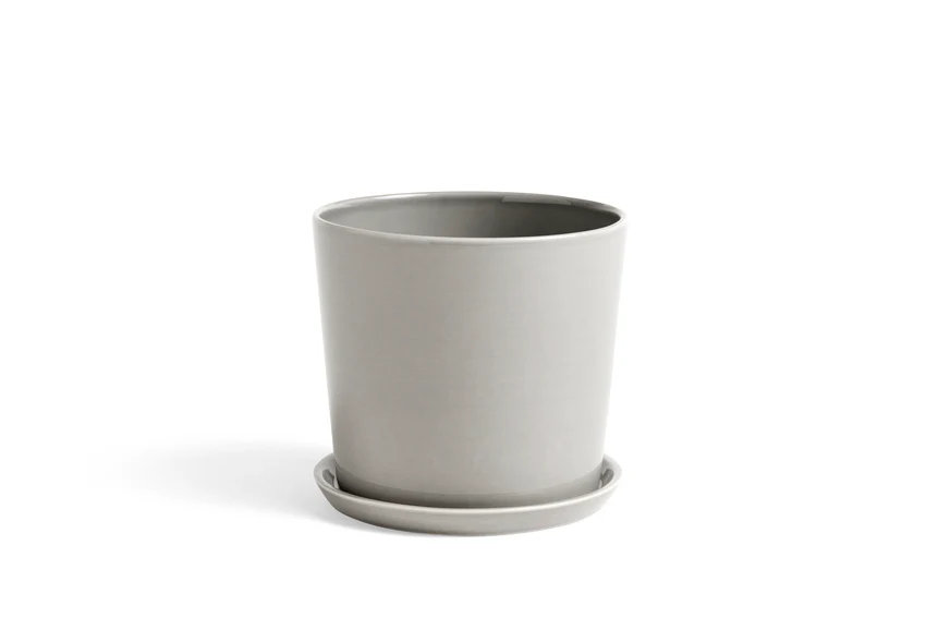 HAY  Botanical family urtepotteskjuler, L - Light grey