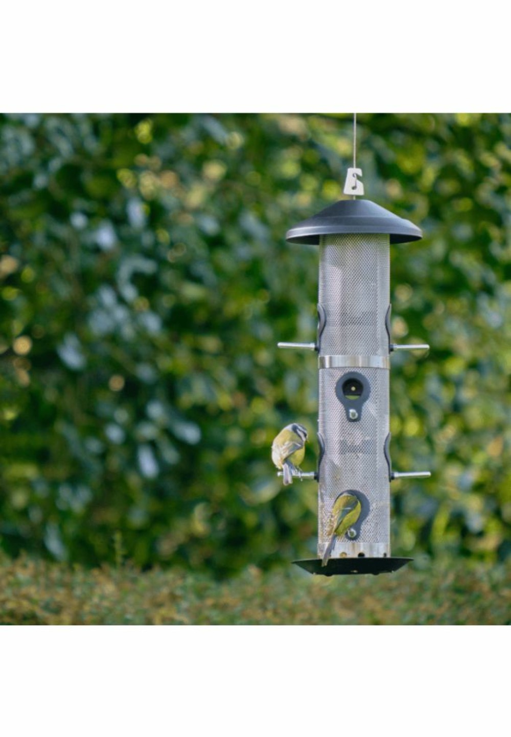 Mangeoire silo premium (metal) 6 postes