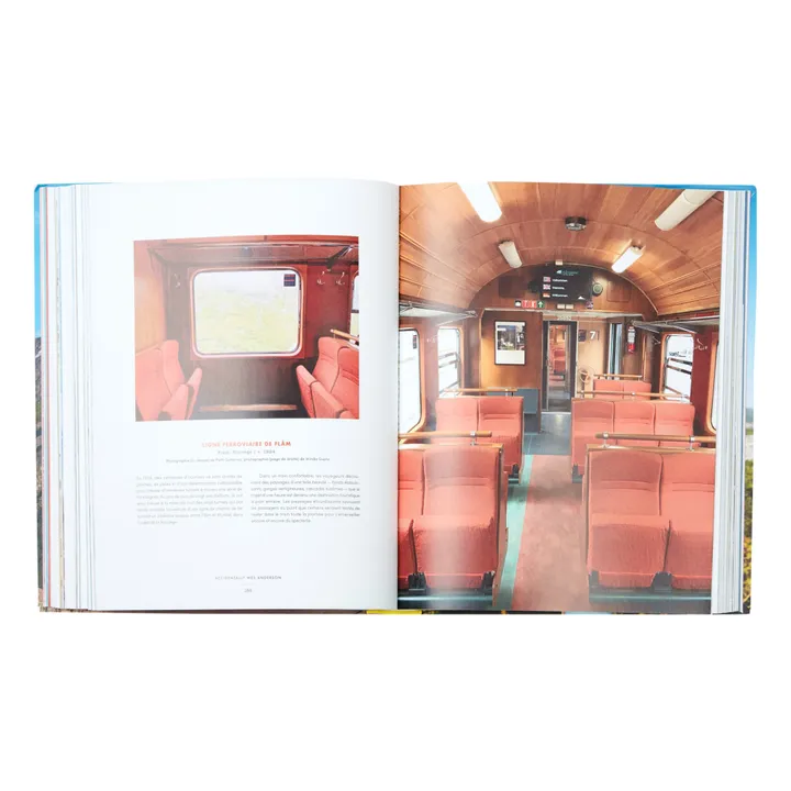 Hachette Accidentally Wes Anderson - FR